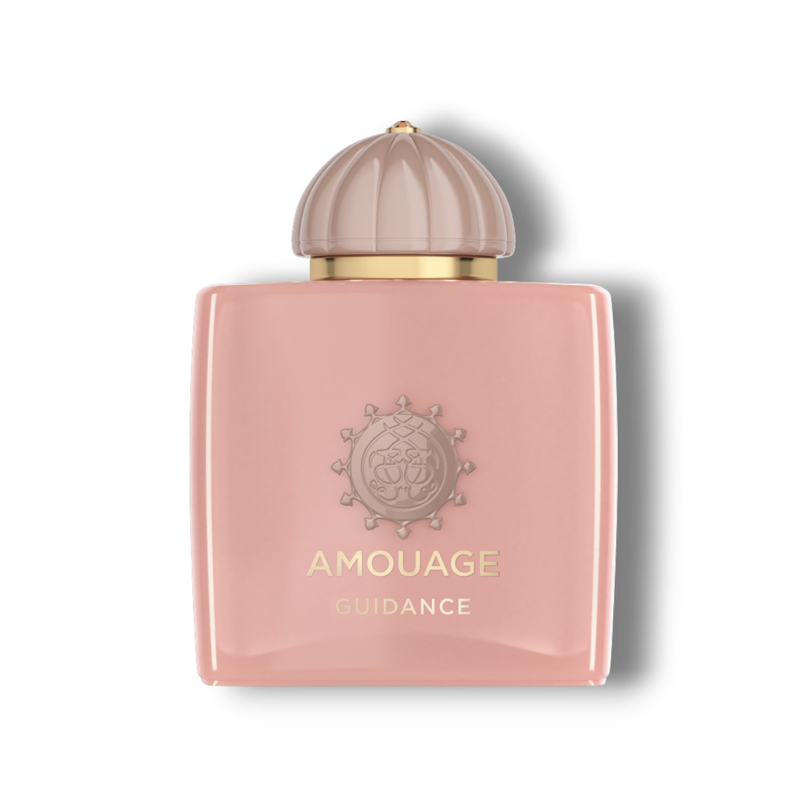 Amouage Guidance